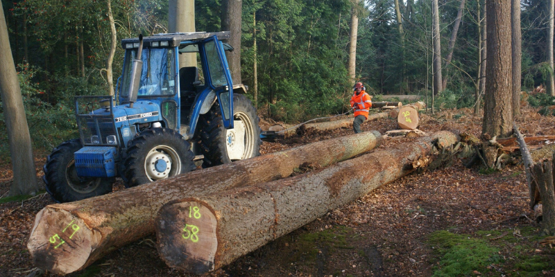 Unique But Normal; Certifying The Crown Estates Woodlands At Windsor ...